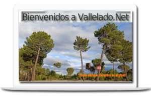 Página Web - Vallelado